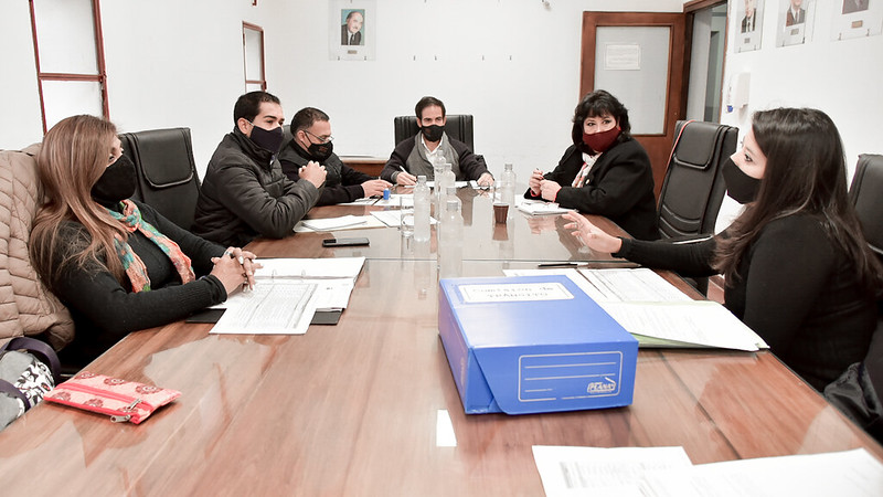 Proyectos de transito